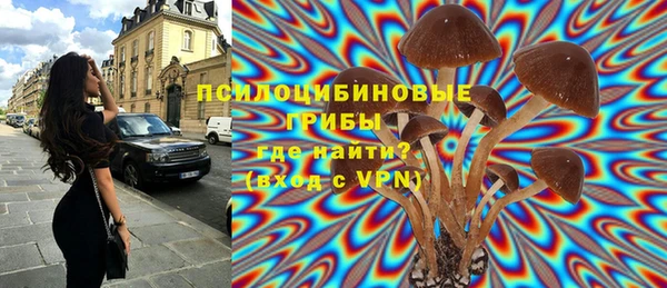 крисы Белоозёрский