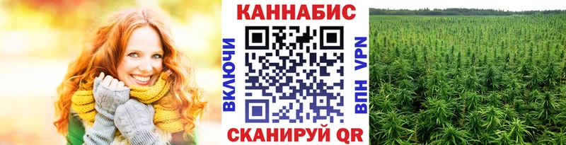 Бошки марихуана планчик  Вязники 